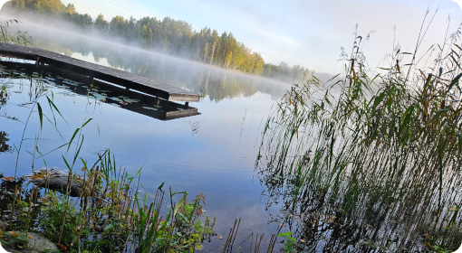 Pirmo lygmens neuroedukatorių mokymai 2025 m. gegužės 19-28 dienomis.